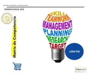 Matriz de Competencia