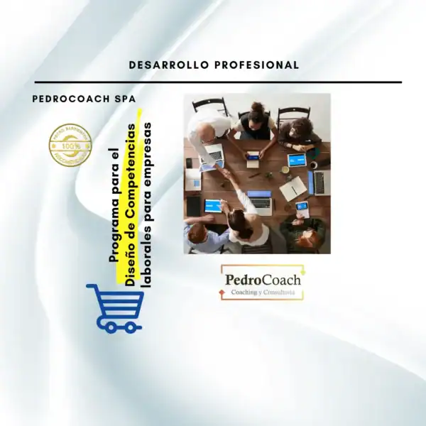 Programa para el Diseño de Competencias laborales para empresas