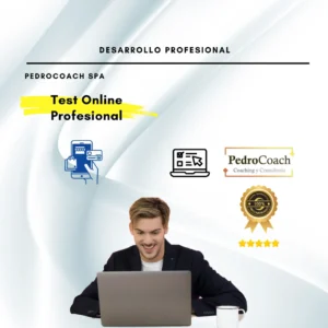 Test online profesional