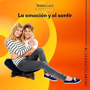 Relación entre el sentir y la razón