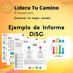 Informe DiSC.