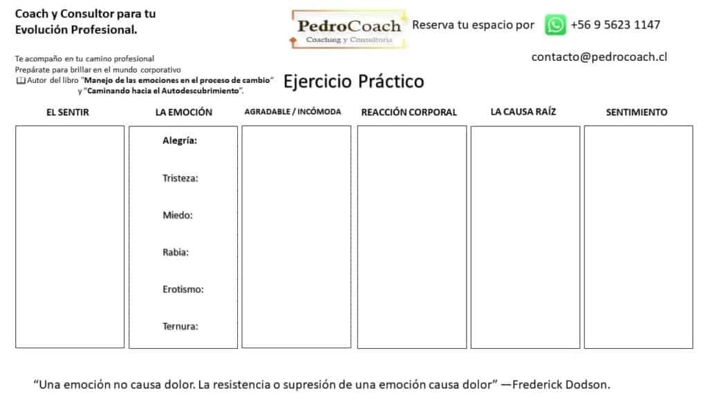 Dinámicas para trabajar inteligencia emocional adultos