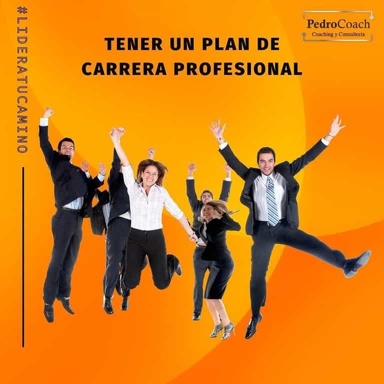 Plan de carrera