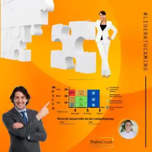 Desarrollo profesional de las habilidades y competencias